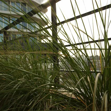 Bel Air - Modern 2-bedroom With Spacious Terraces T165 Ferienhaus Ostende